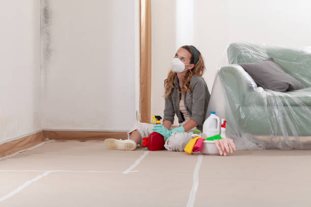 Reliable Mold Testing contractor in Dover, TN by WQB Mold Removal