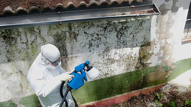 Top rated local Mold Testing specialists in Dover, TN